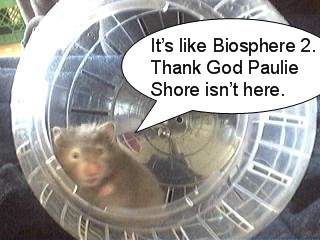 silbiosphere.jpg